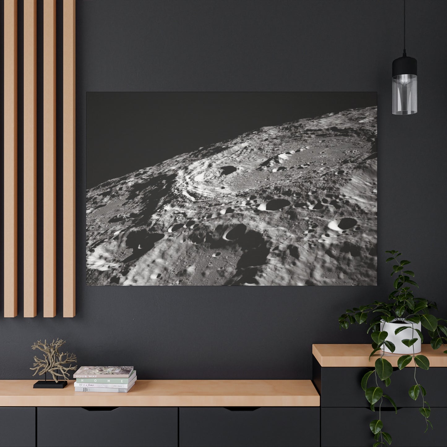 Lunar Surface Matte Canvas Print — Black & White Moon Crater Wall Art