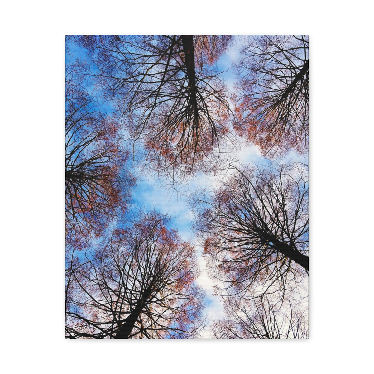 Winter Tree Canopy Matte Canvas Wall Art — Stretched 1.25"