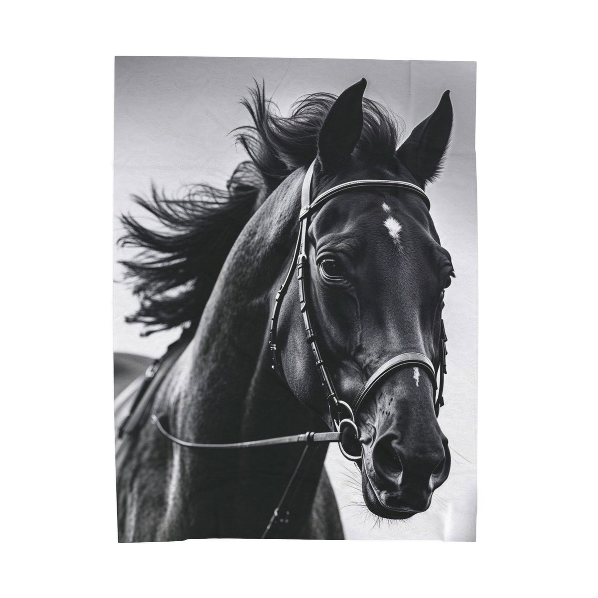 Black Stallion Velveteen Plush Blanket – Photoreal Horse Throw for Equestrian Fans