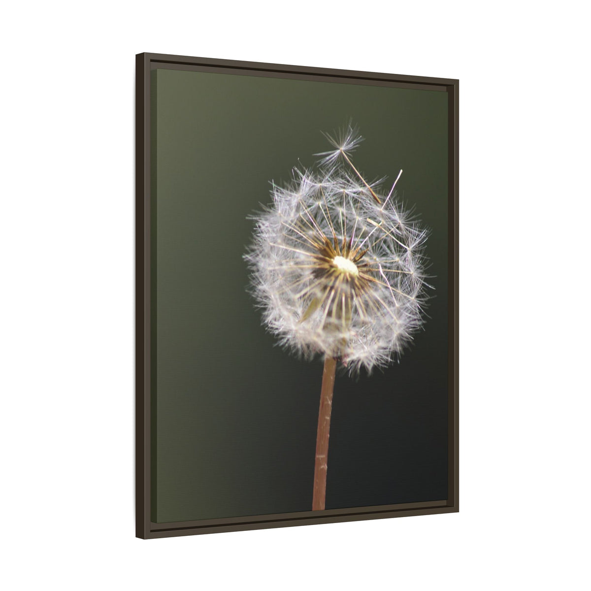 Framed Dandelion Canvas Print — Matte Botanical Wall Art
