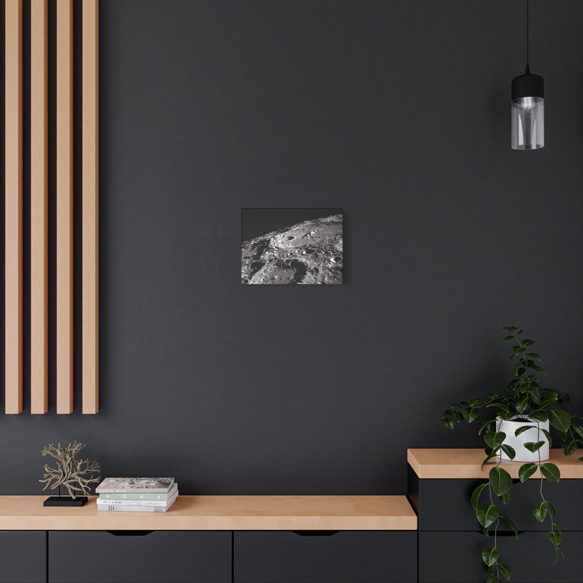 Lunar Surface Matte Canvas Print — Black & White Moon Crater Wall Art