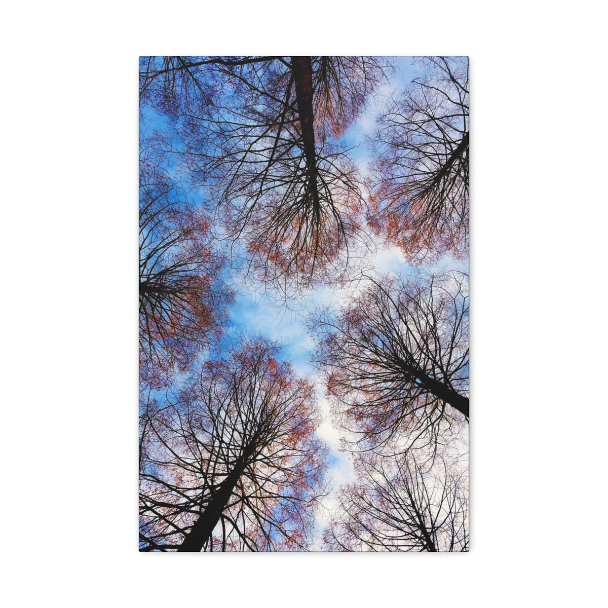 Winter Tree Canopy Matte Canvas Wall Art — Stretched 1.25"