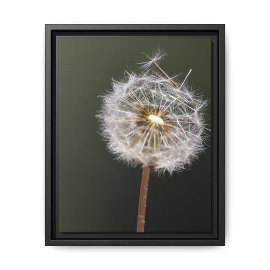 Framed Dandelion Canvas Print — Matte Botanical Wall Art