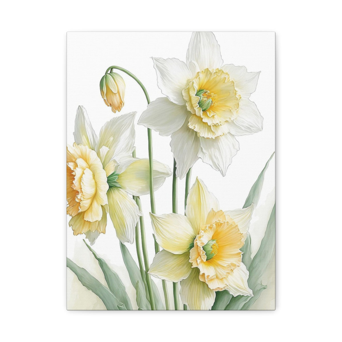 Matte Canvas, Stretched, 1.25" beautiful flowers white and yellow.