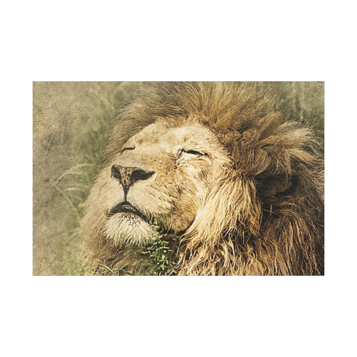 Lion Portrait Matte Canvas Print — Stretched 1.25" Wall Art