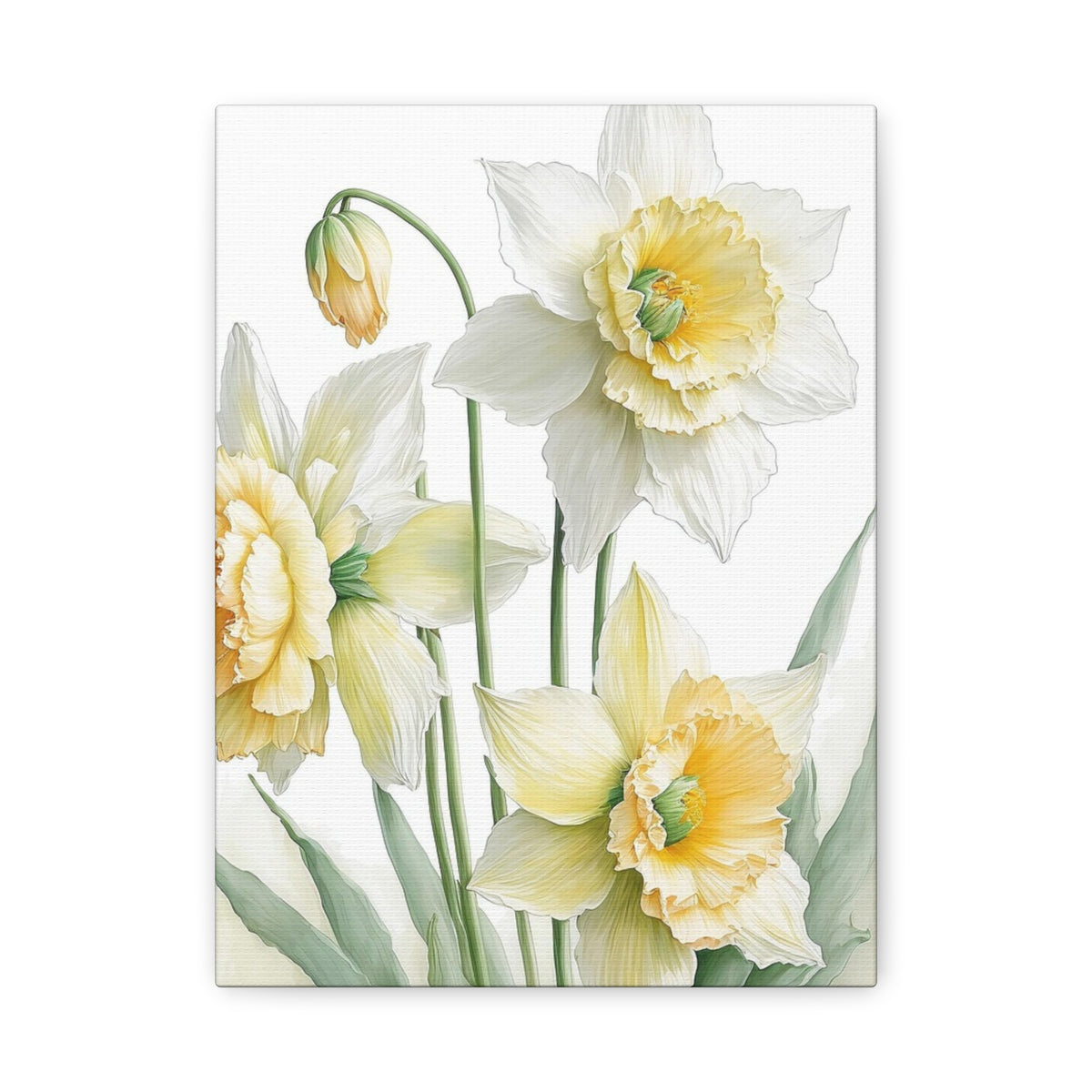 Matte Canvas, Stretched, 1.25" beautiful flowers white and yellow.