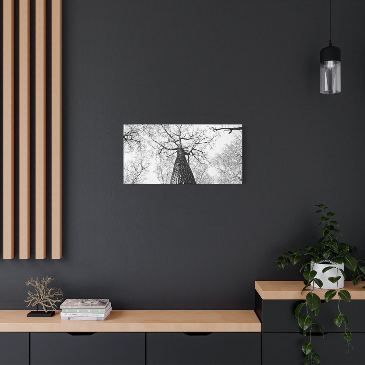 Black & White Tree Canopy Matte Canvas Wall Art — Upward Forest Photography
