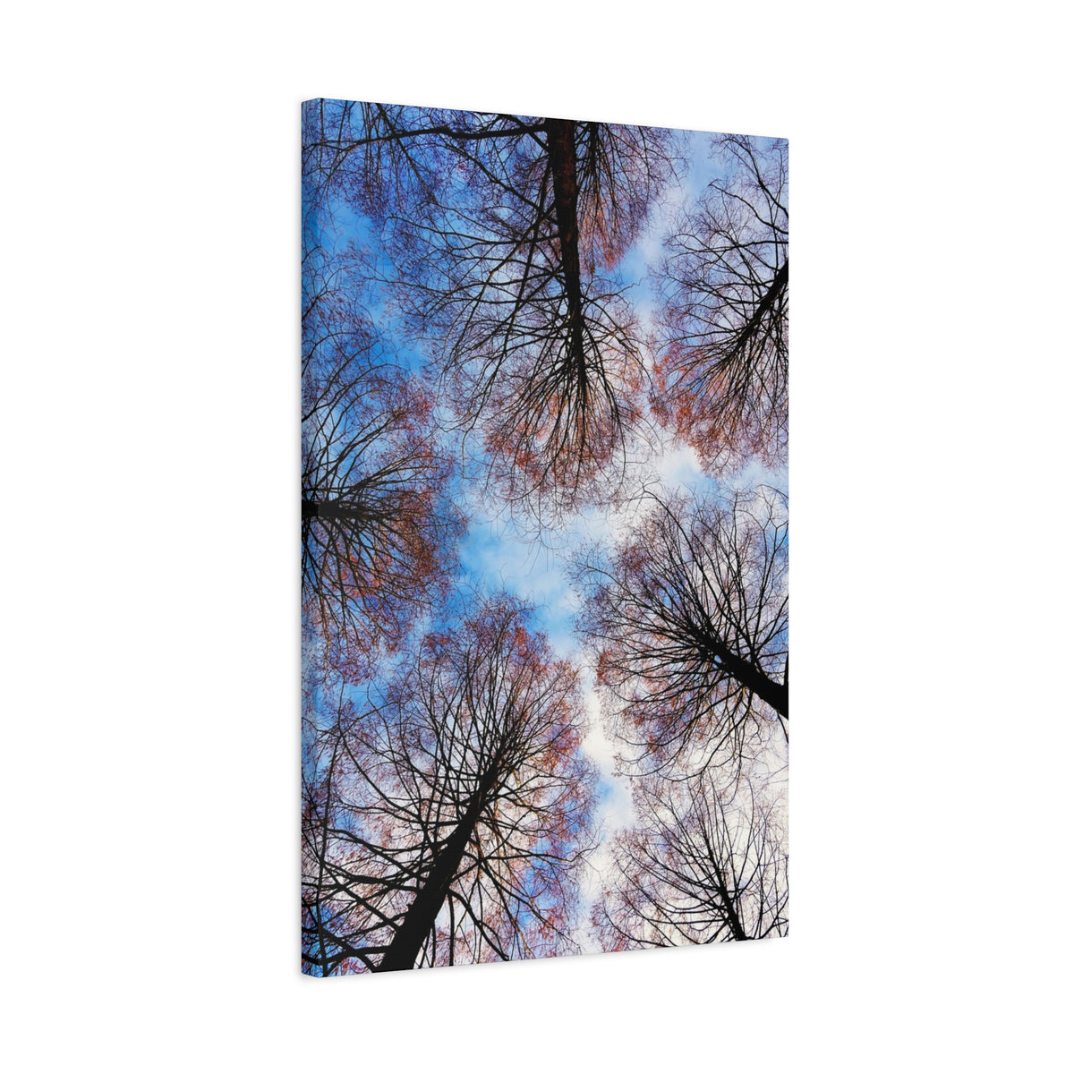 Winter Tree Canopy Matte Canvas Wall Art — Stretched 1.25"
