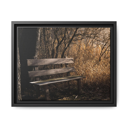 Framed Matte Canvas Print — Autumn Park Bench Photography
