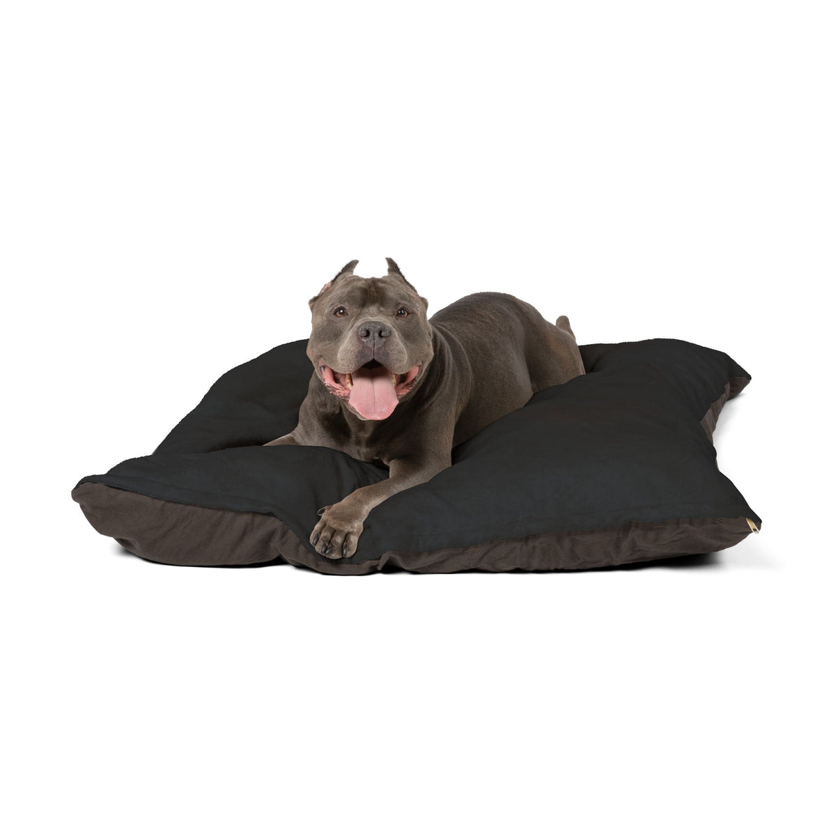 Black Cat Eyes Pet Bed — Cozy Plush Cushion for Cats & Small Dogs