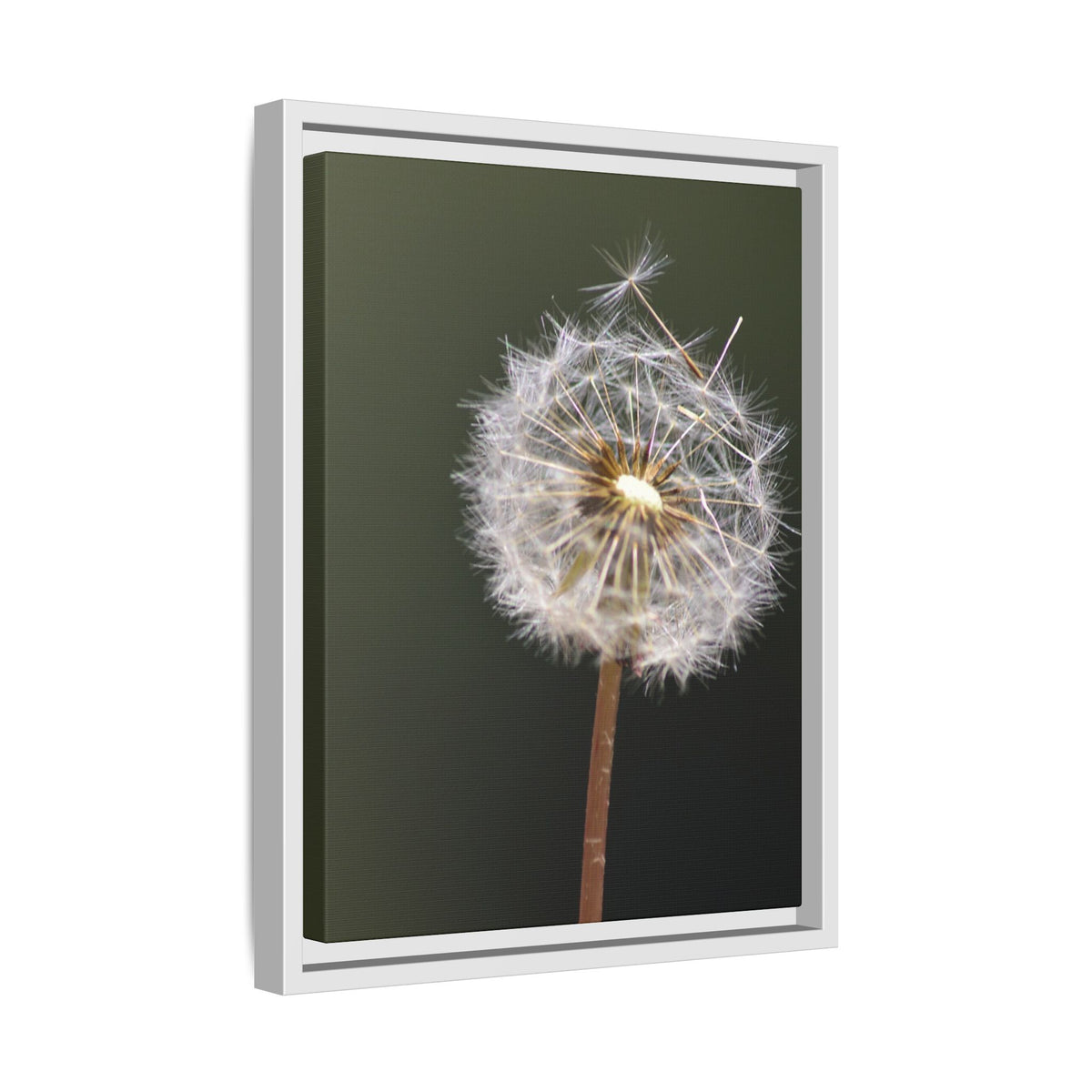 Framed Dandelion Canvas Print — Matte Botanical Wall Art