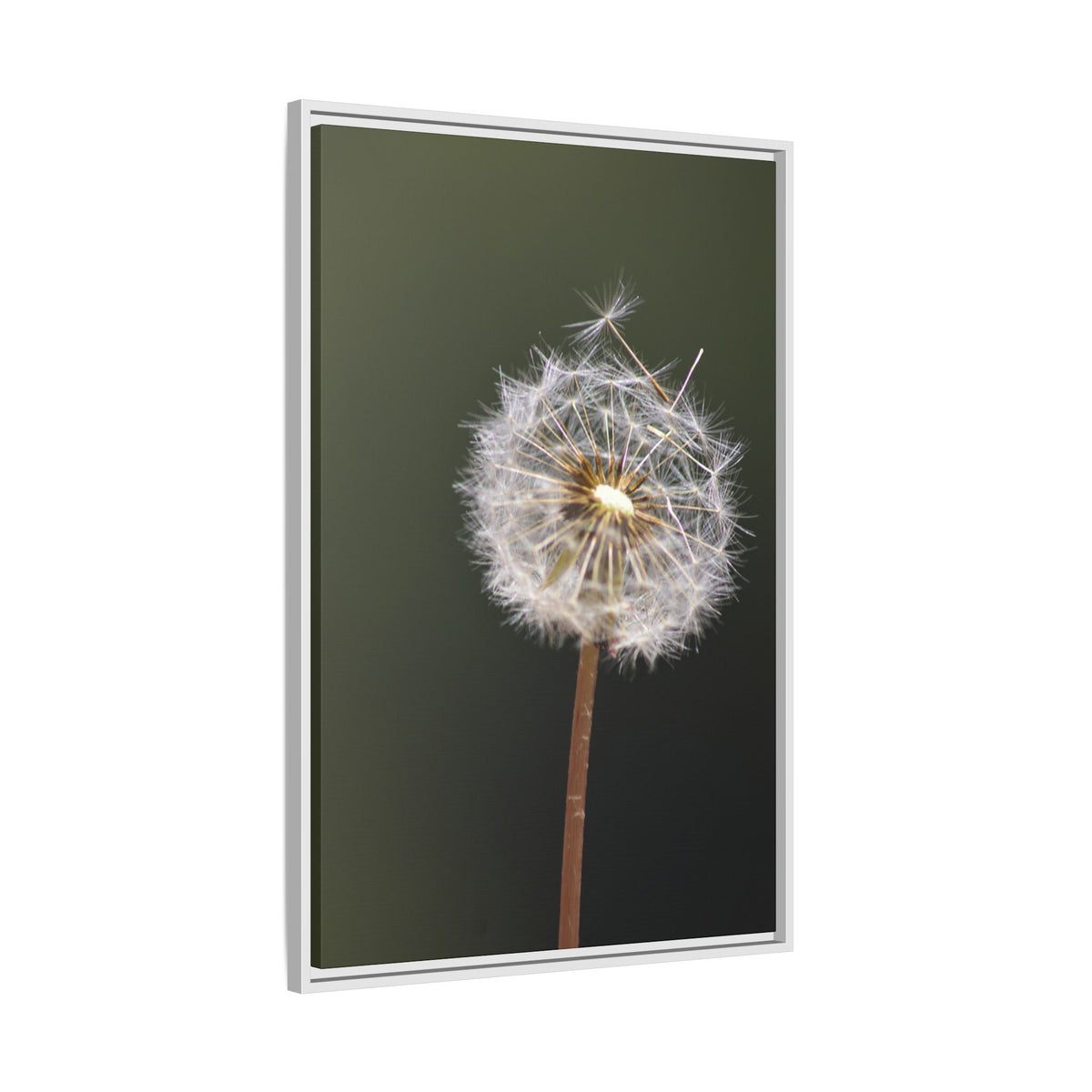 Framed Dandelion Canvas Print — Matte Botanical Wall Art