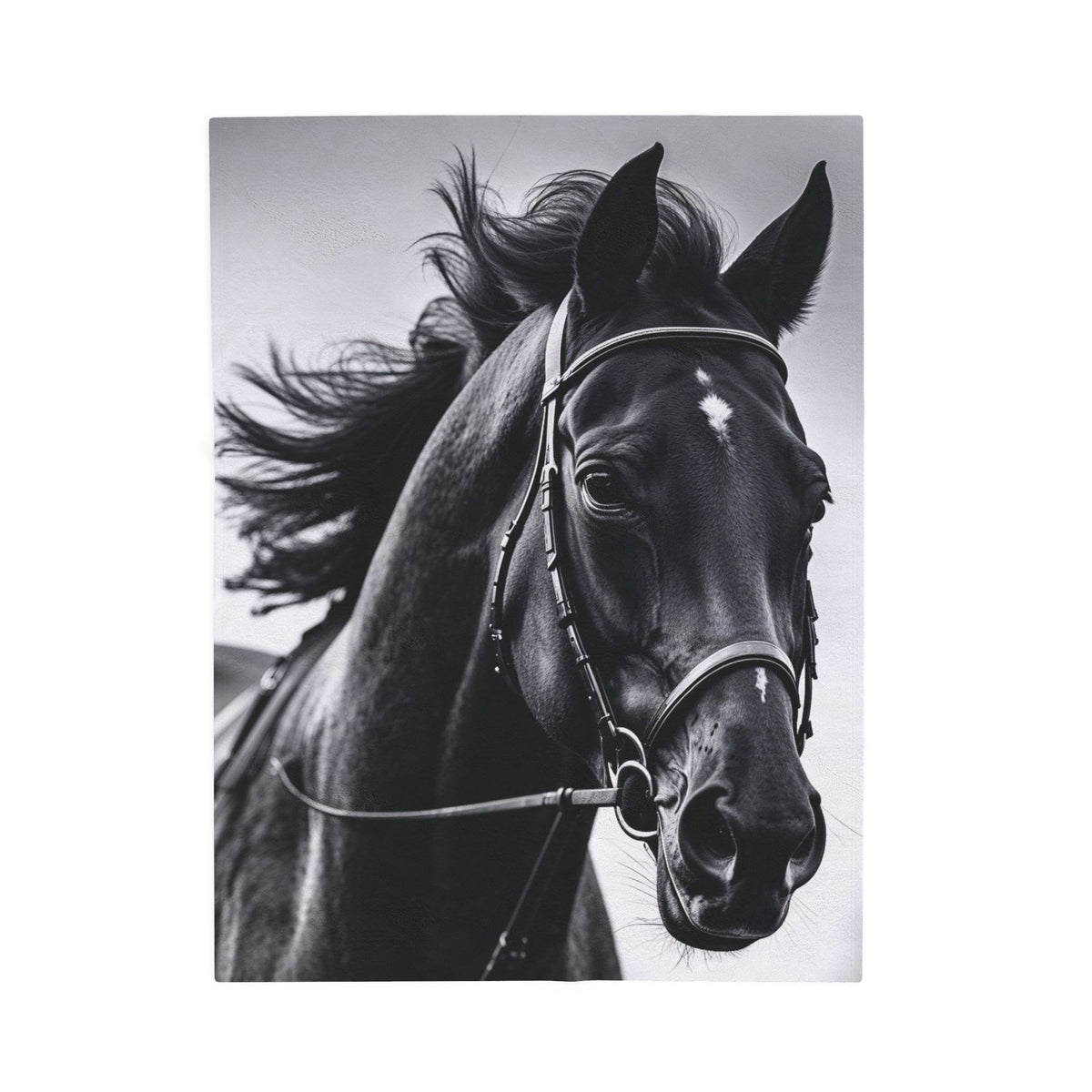 Black Stallion Velveteen Plush Blanket – Photoreal Horse Throw for Equestrian Fans