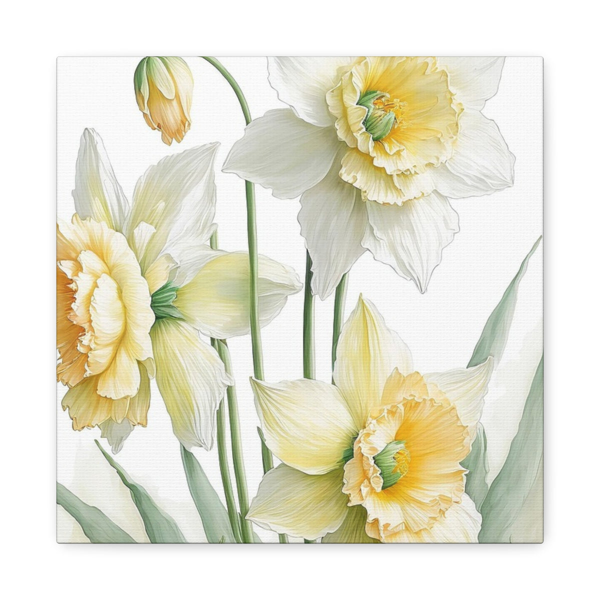 Matte Canvas, Stretched, 1.25" beautiful flowers white and yellow.