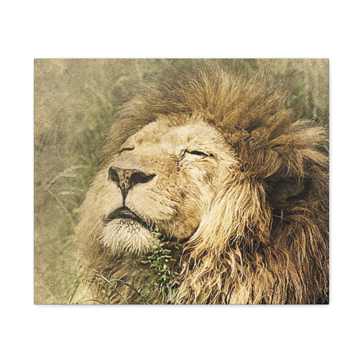 Lion Portrait Matte Canvas Print — Stretched 1.25" Wall Art