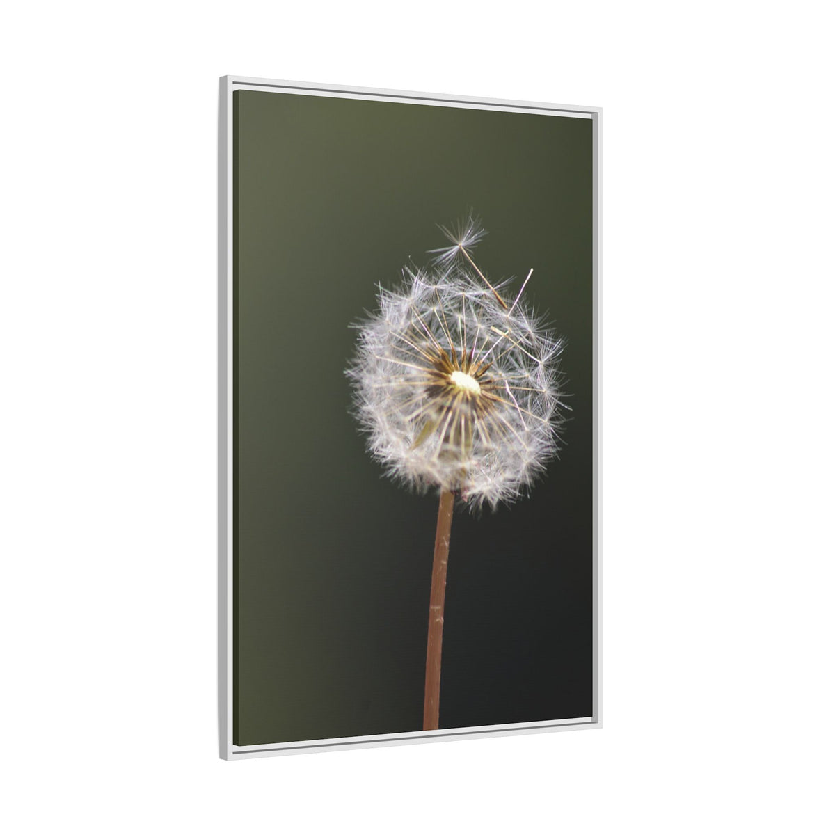 Framed Dandelion Canvas Print — Matte Botanical Wall Art