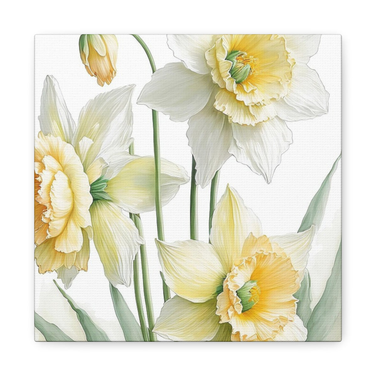 Matte Canvas, Stretched, 1.25" beautiful flowers white and yellow.