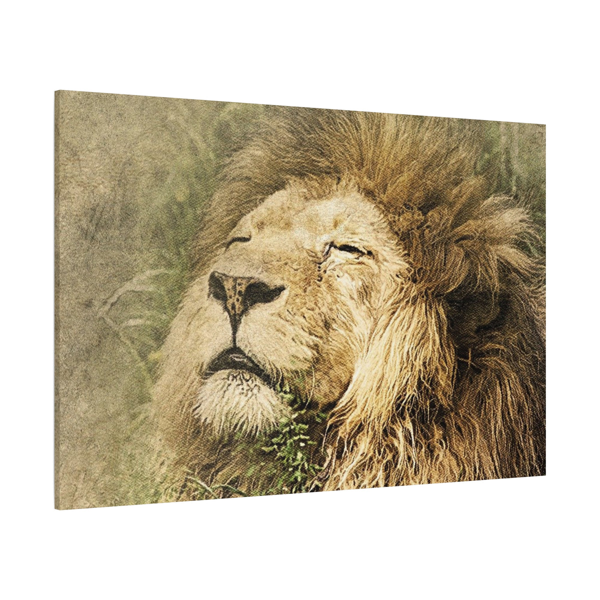 Lion Portrait Matte Canvas Print — Stretched 1.25" Wall Art