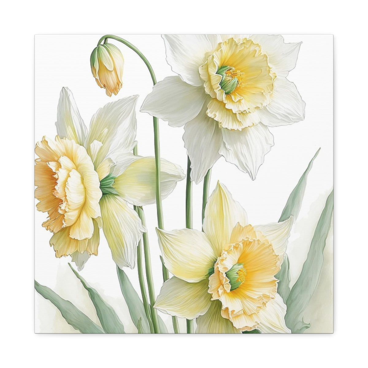 Matte Canvas, Stretched, 1.25" beautiful flowers white and yellow.