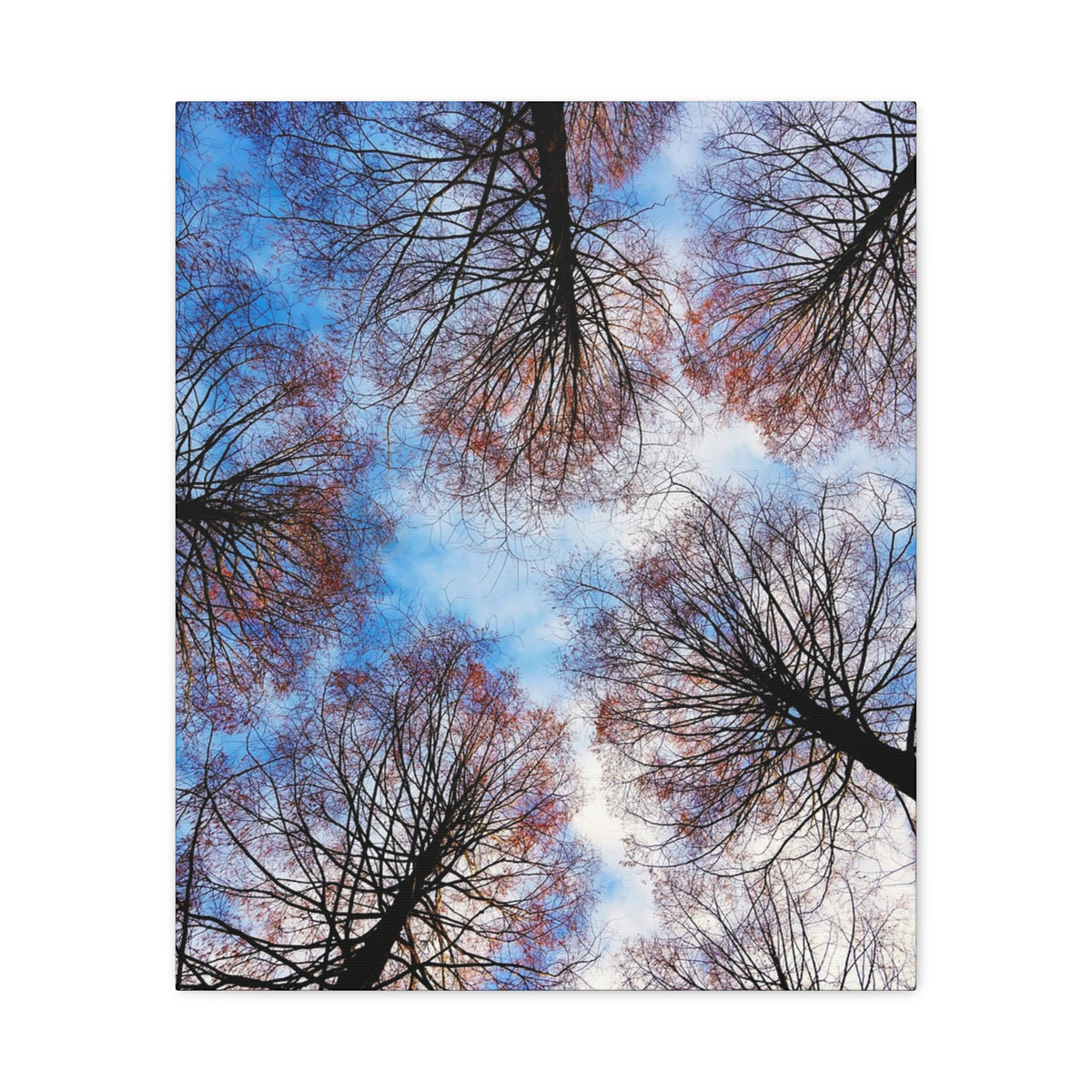 Winter Tree Canopy Matte Canvas Wall Art — Stretched 1.25"