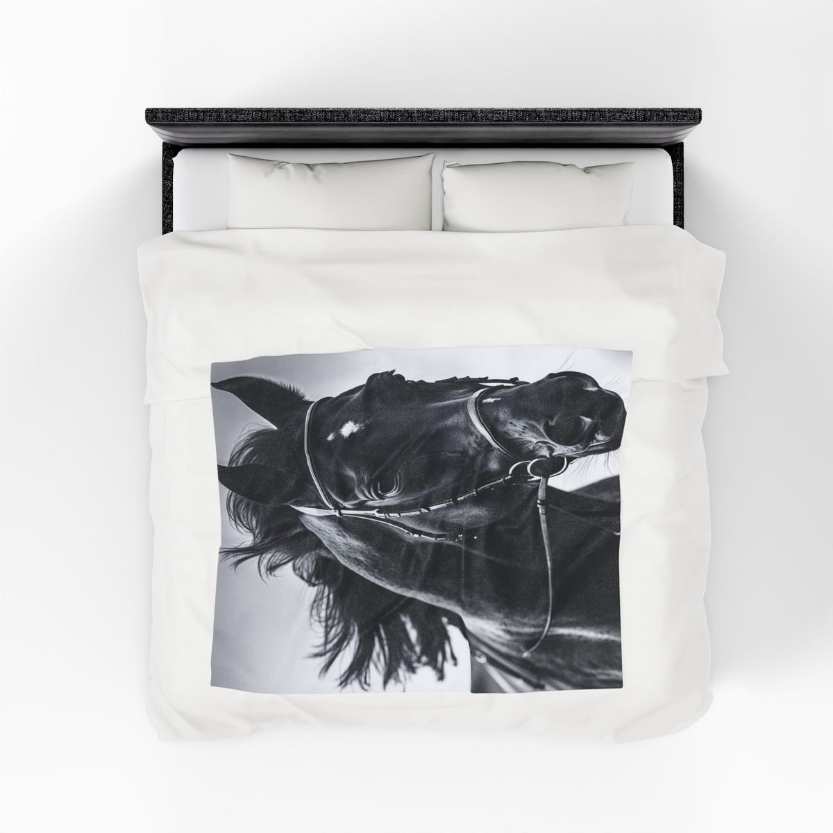 Black Stallion Velveteen Plush Blanket – Photoreal Horse Throw for Equestrian Fans