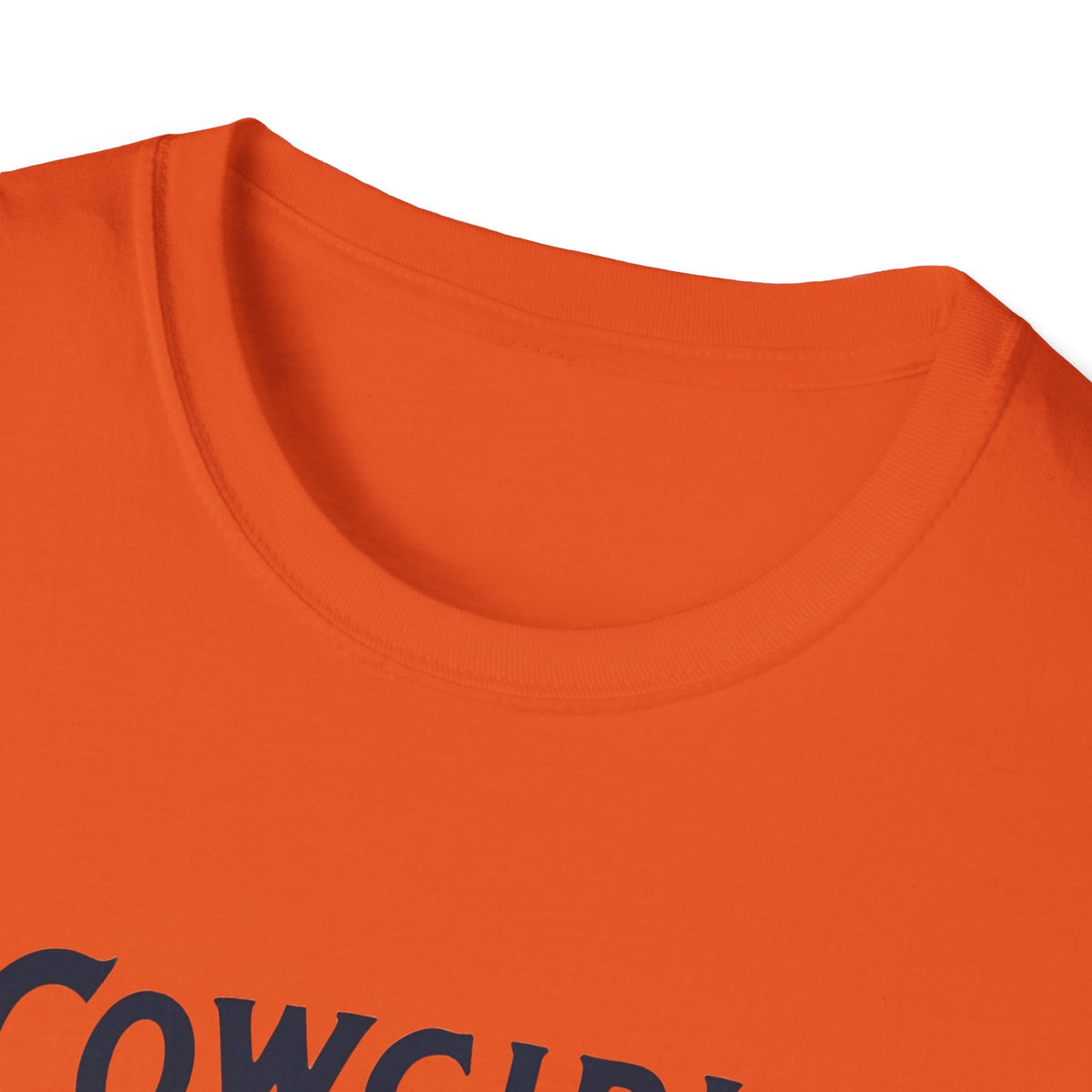 Cowgirl Summer Soft style T-Shirt for Horse Lovers