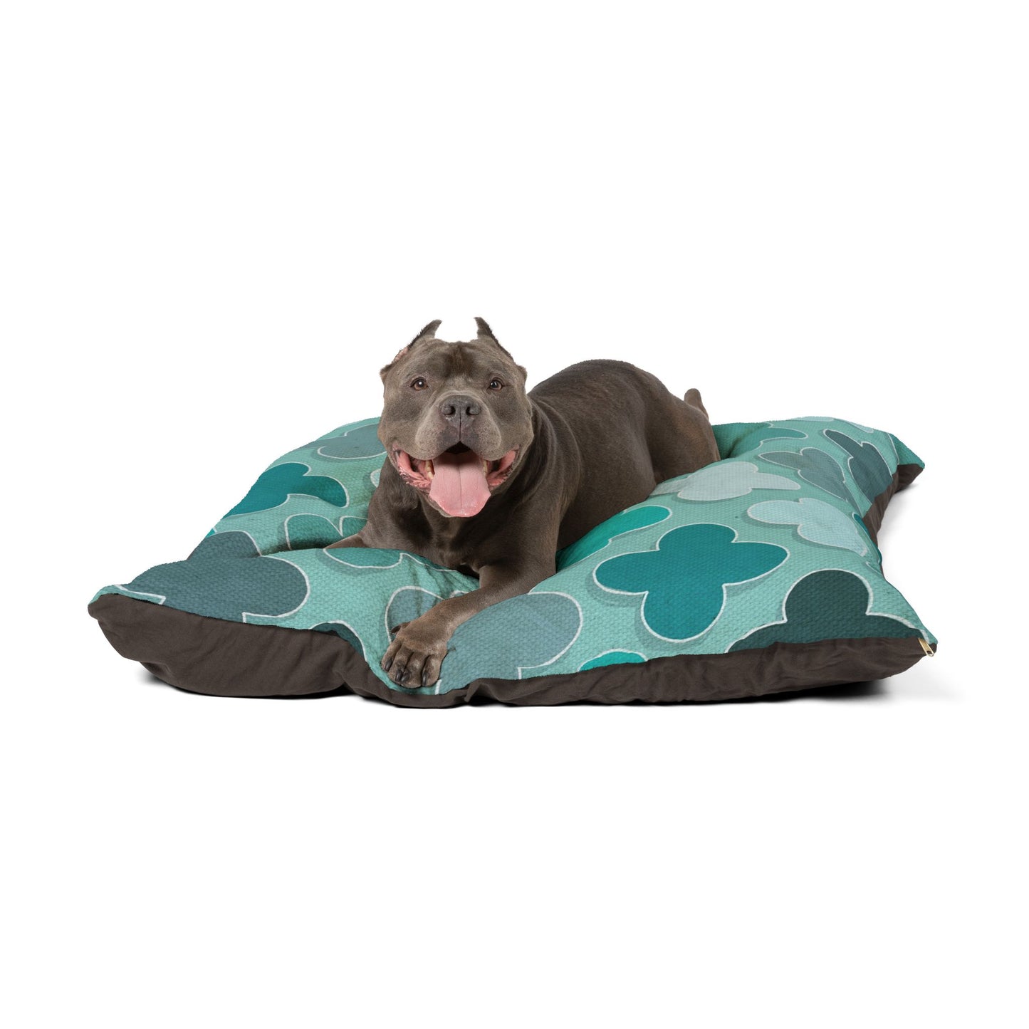 Pet Bed