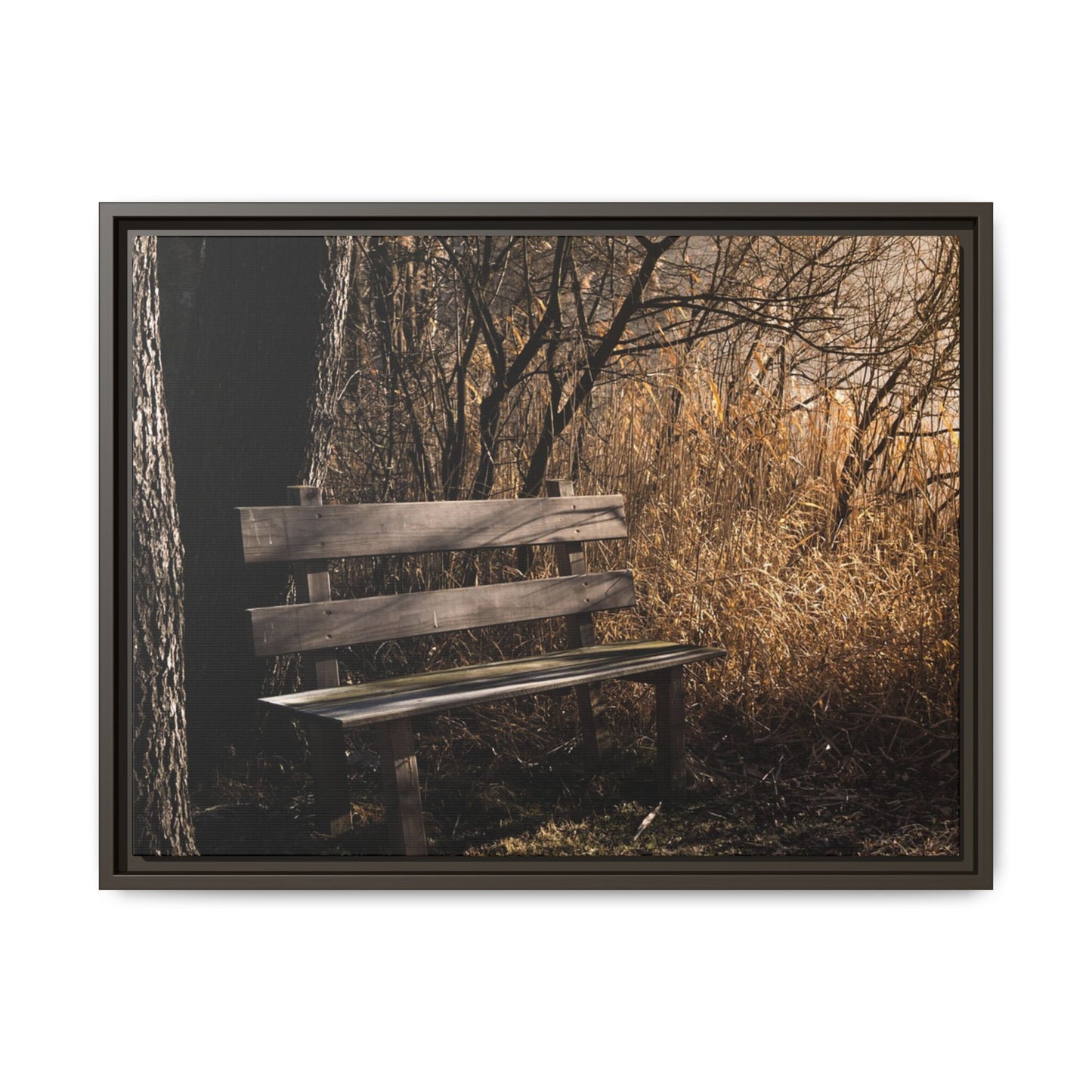 Framed Matte Canvas Print — Autumn Park Bench Photography