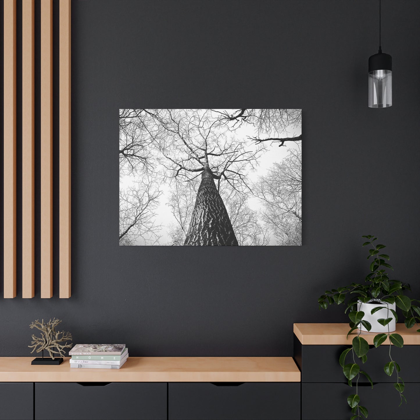 Black & White Tree Canopy Matte Canvas Wall Art — Upward Forest Photography