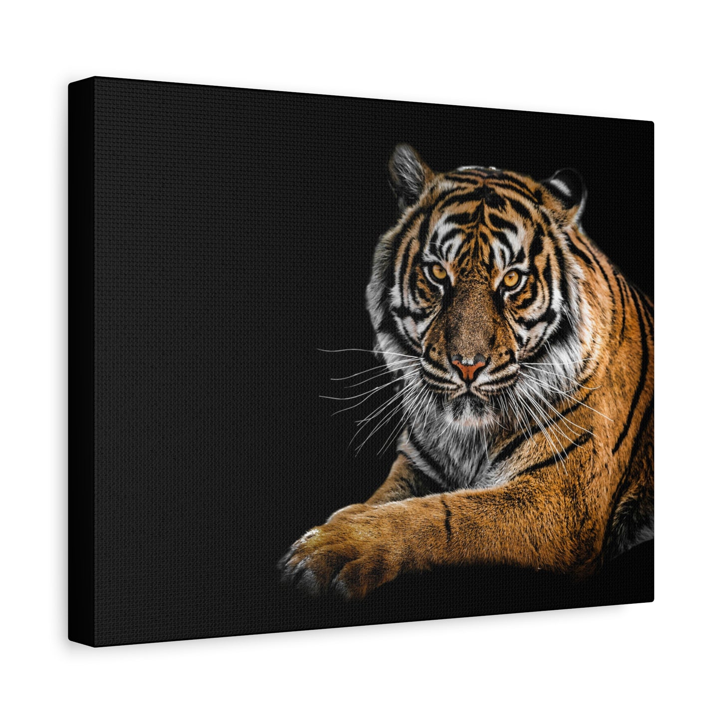 Majestic Tiger Canvas Art, Perfect for Animal Lovers