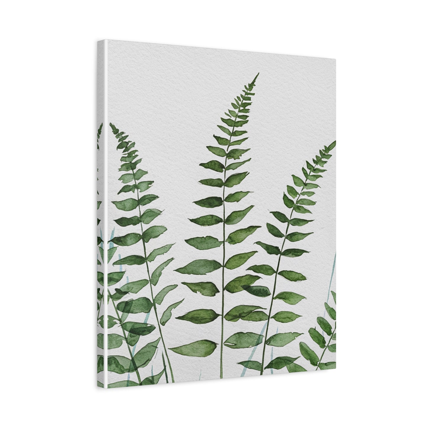 Fern Watercolor Canvas Art – Botanical Matte Stretched Wall Print
