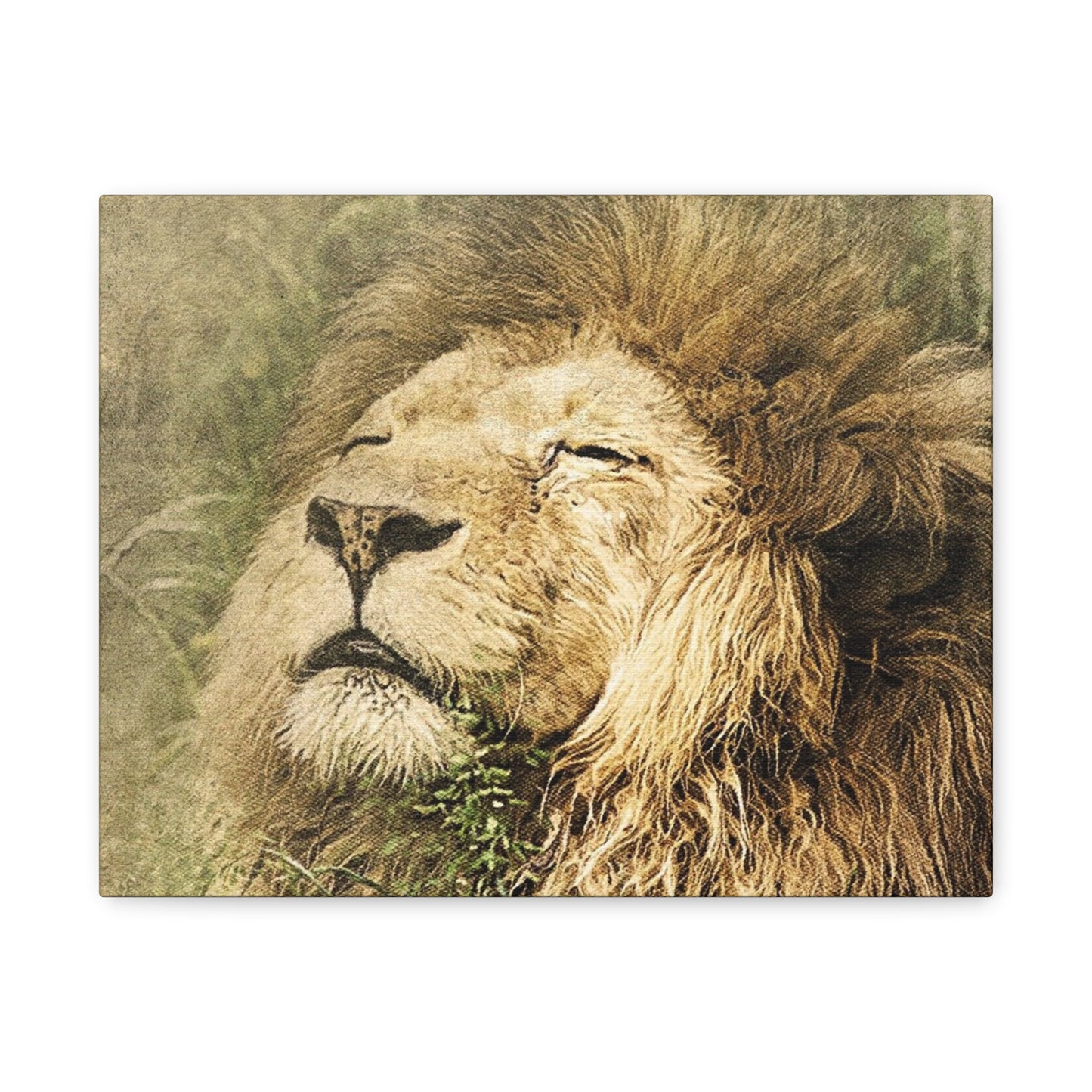 Lion Portrait Matte Canvas Print — Stretched 1.25" Wall Art