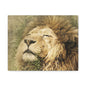 Lion Portrait Matte Canvas Print — Stretched 1.25" Wall Art
