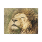 Lion Portrait Matte Canvas Print — Stretched 1.25" Wall Art