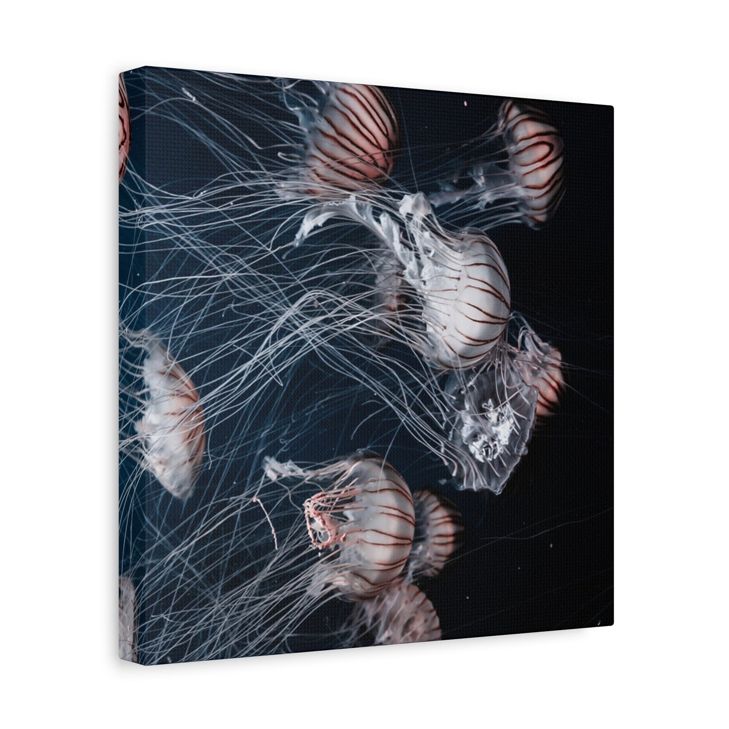 Jellyfish Swarm Matte Stretched Canvas
