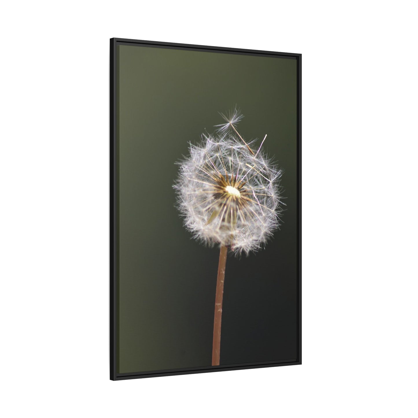 Framed Dandelion Canvas Print — Matte Botanical Wall Art