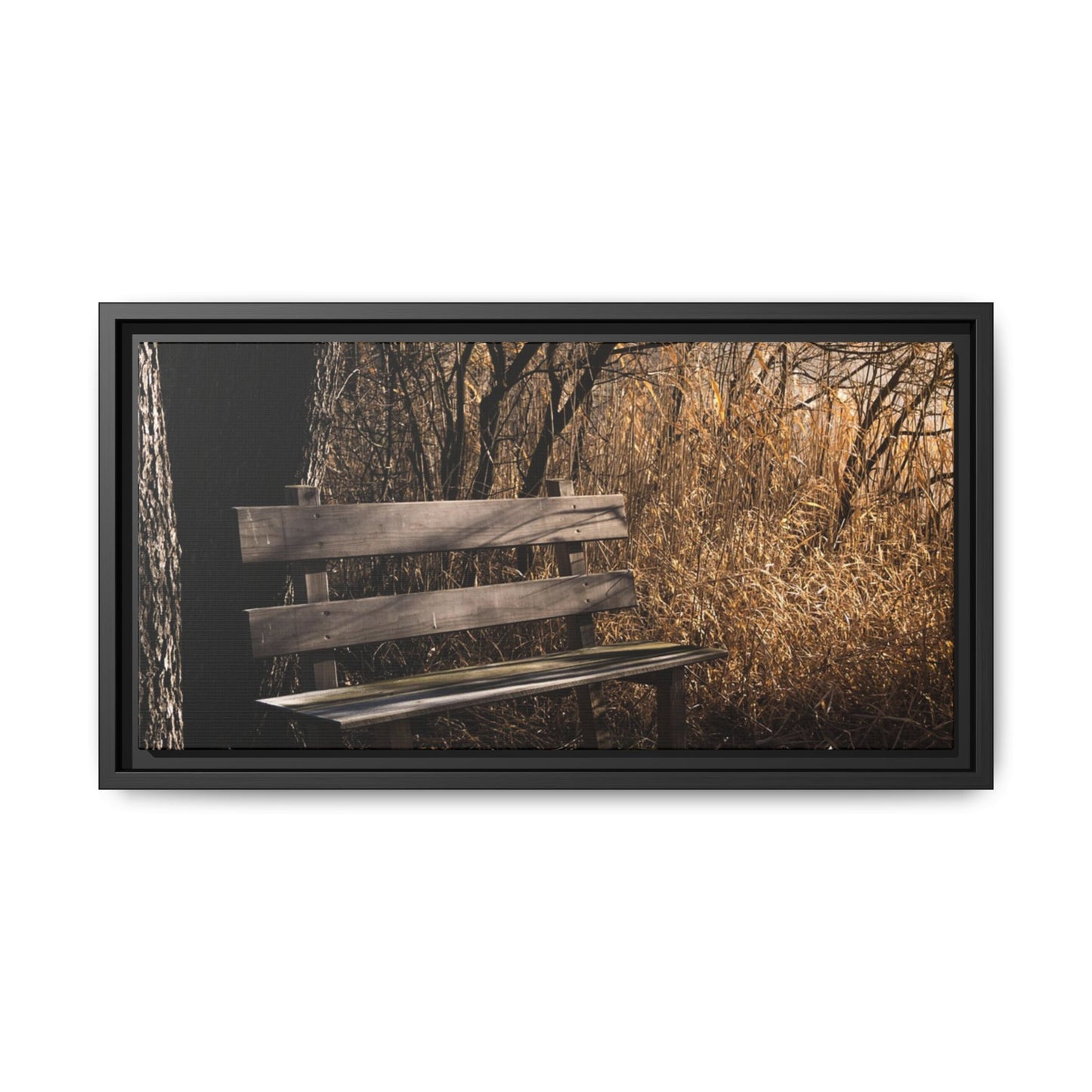 Framed Matte Canvas Print — Autumn Park Bench Photography