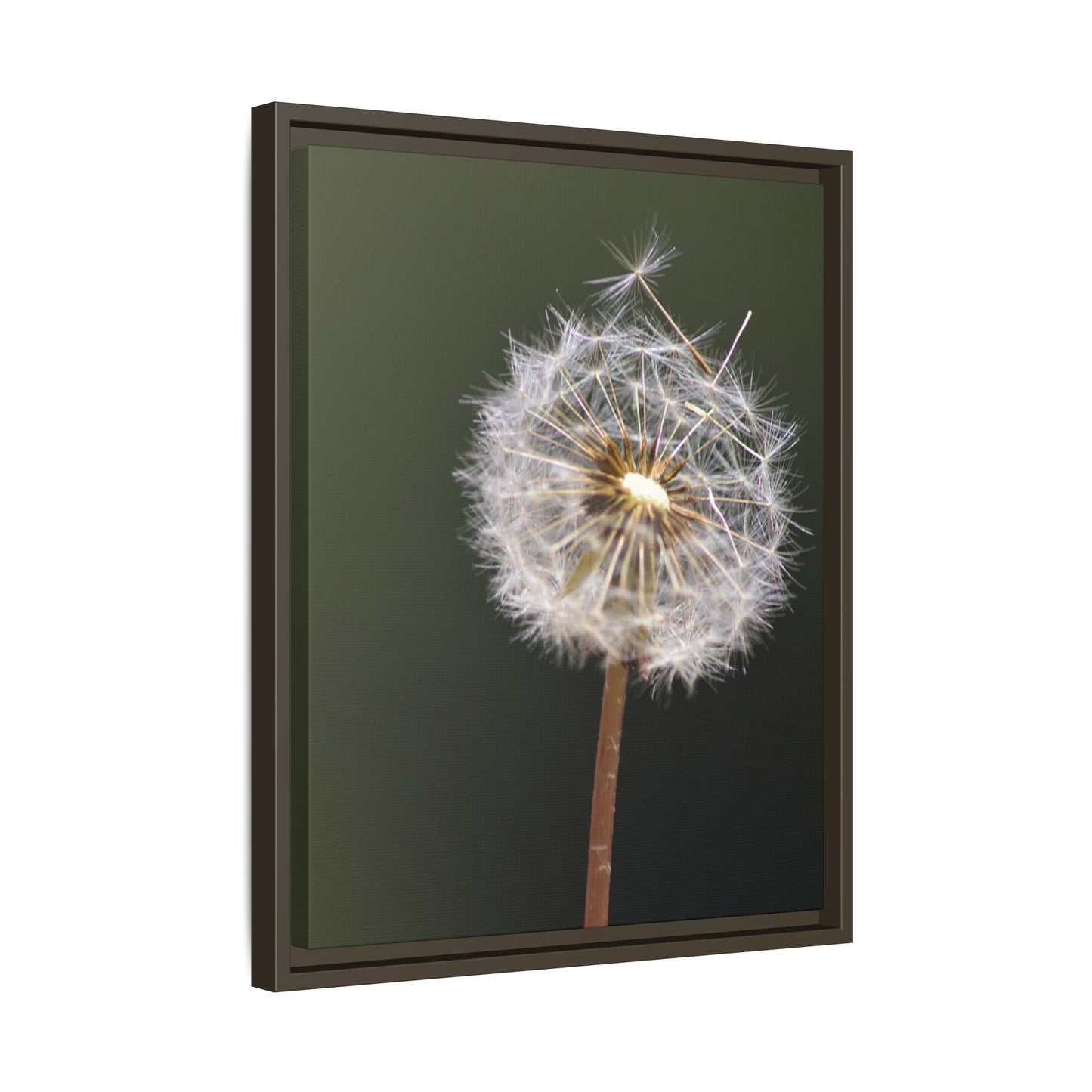 Framed Dandelion Canvas Print — Matte Botanical Wall Art
