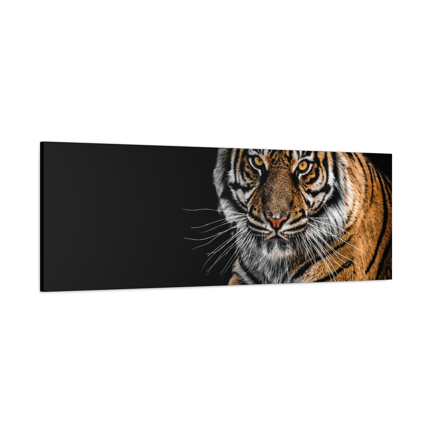 Majestic Tiger Canvas Art, Perfect for Animal Lovers