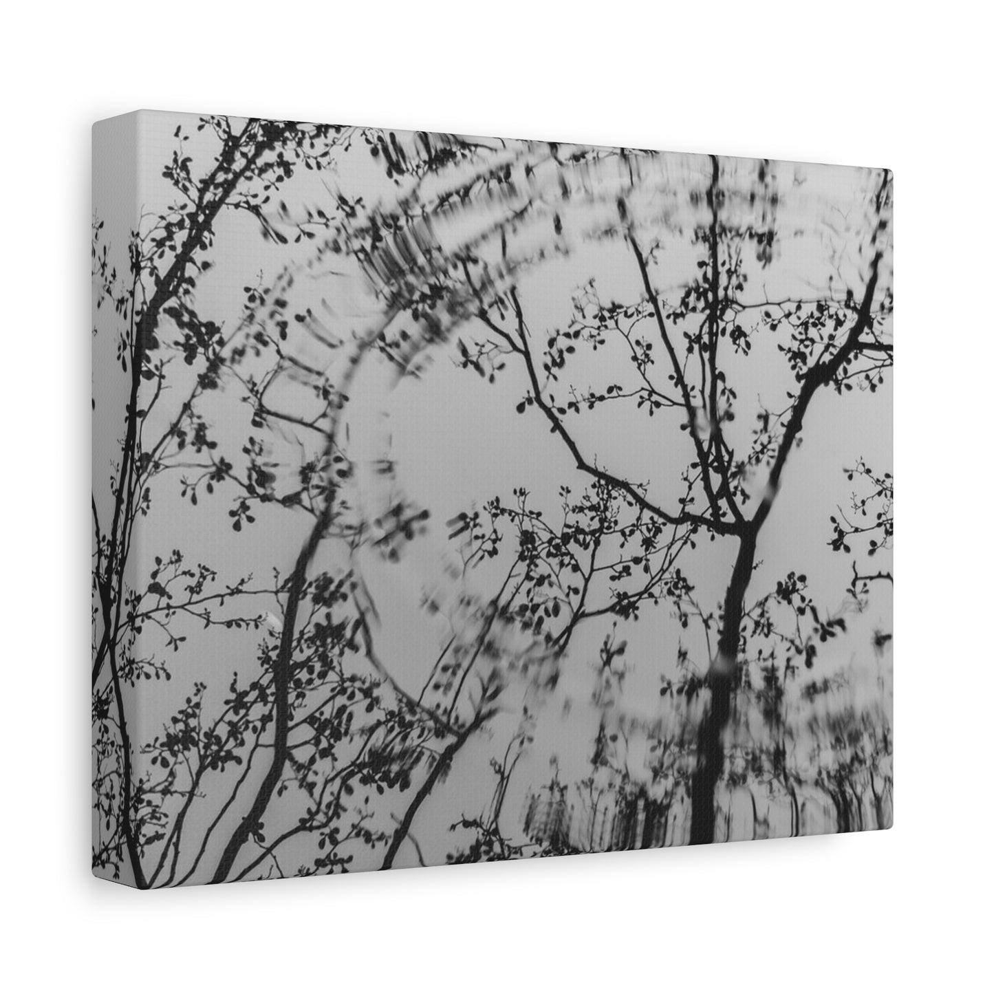 Canvas Wall Art — Monochrome Blurred Ferris Wheel with Tree Silhouettes