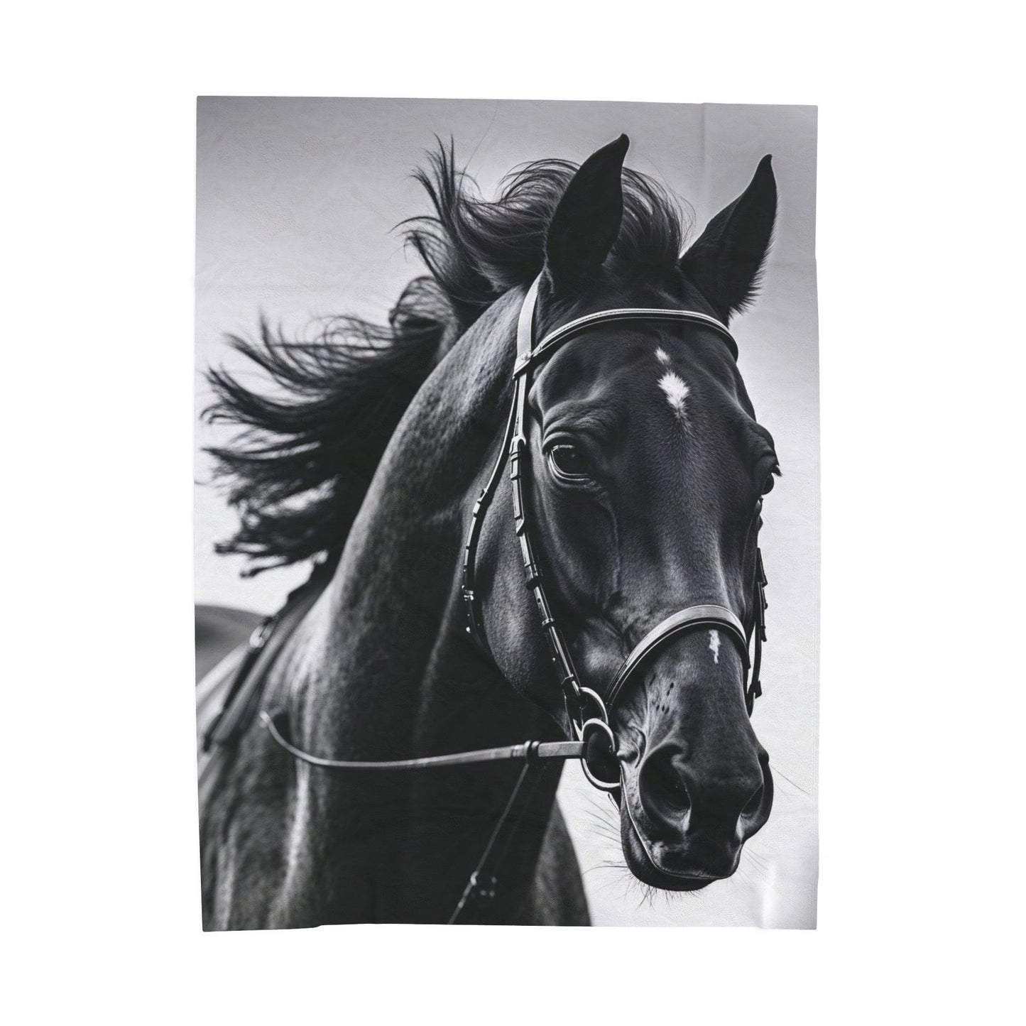 Black Stallion Velveteen Plush Blanket – Photoreal Horse Throw for Equestrian Fans