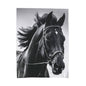 Black Stallion Velveteen Plush Blanket – Photoreal Horse Throw for Equestrian Fans