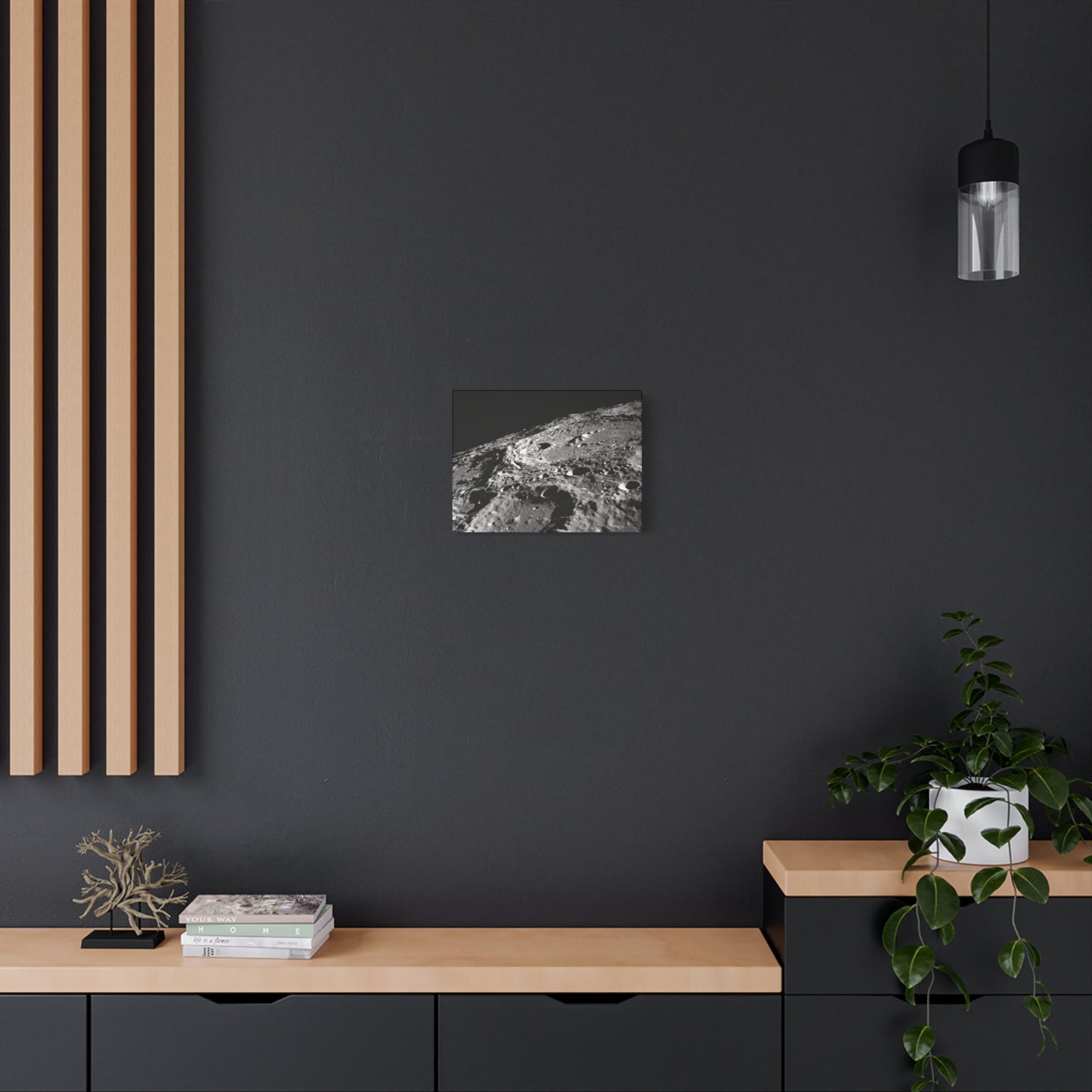 Lunar Surface Matte Canvas Print — Black & White Moon Crater Wall Art