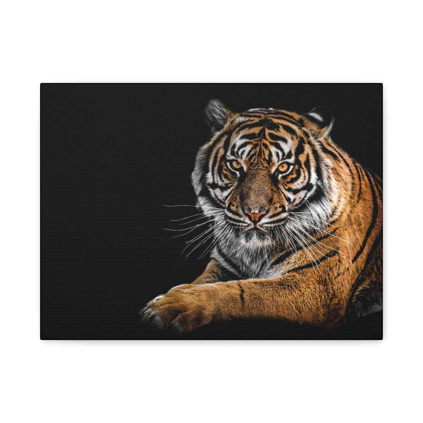Majestic Tiger Canvas Art, Perfect for Animal Lovers