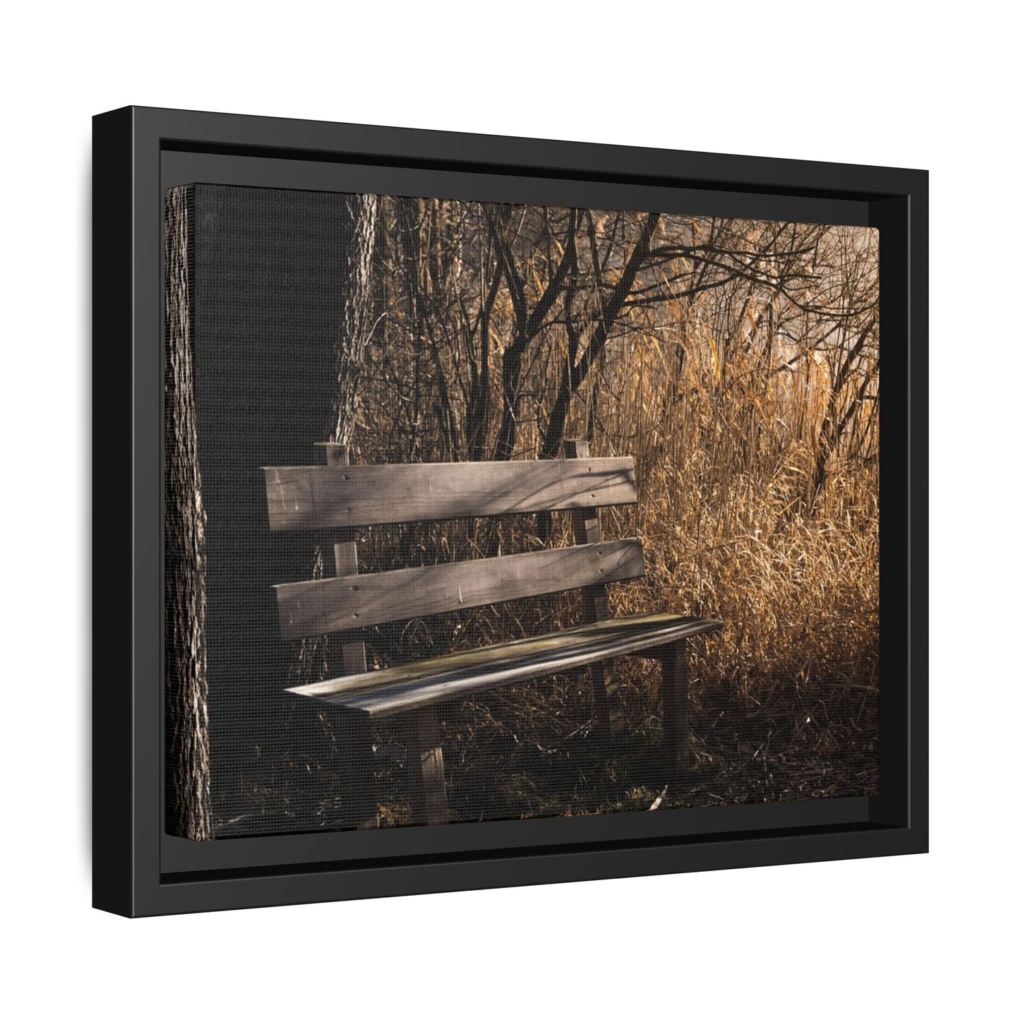 Framed Matte Canvas Print — Autumn Park Bench Photography