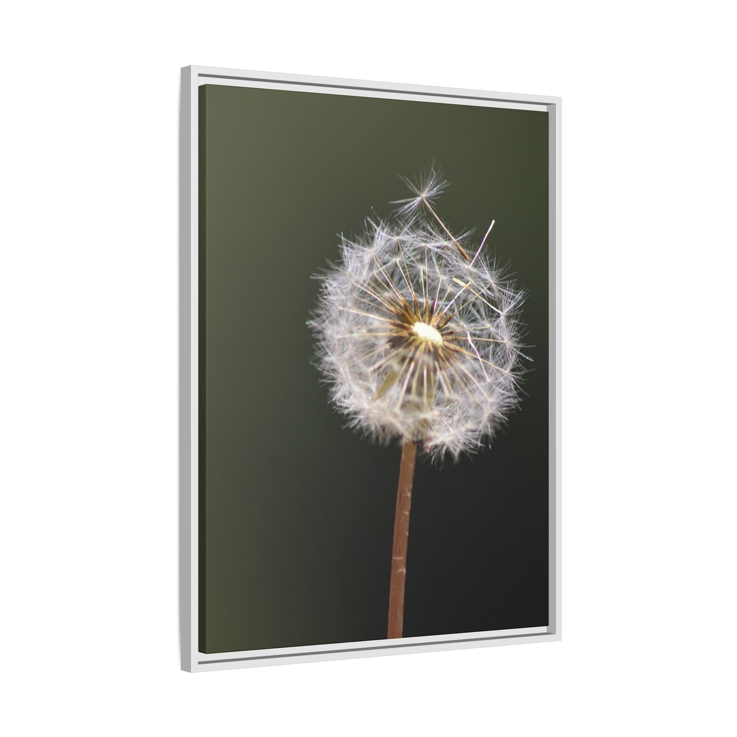 Framed Dandelion Canvas Print — Matte Botanical Wall Art