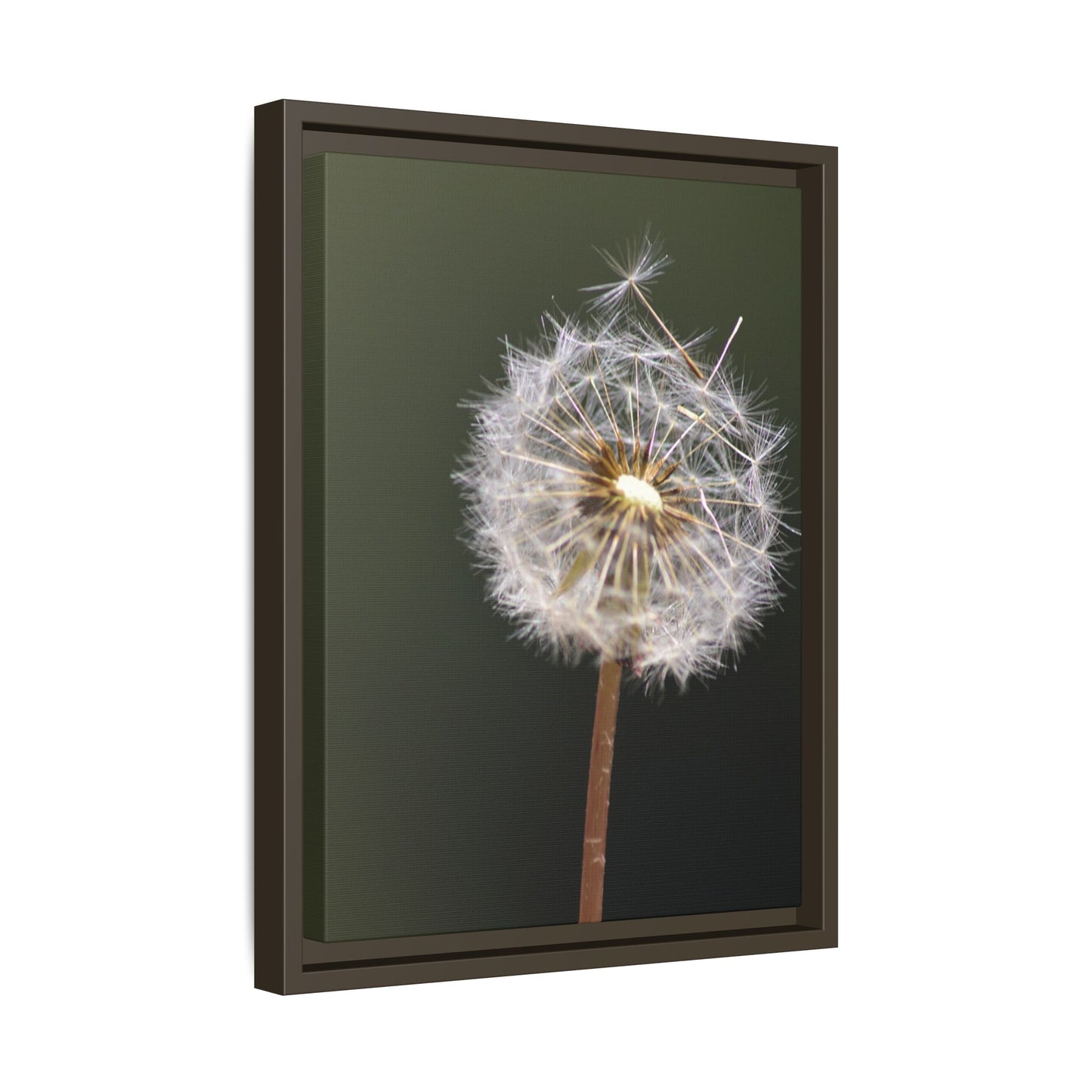 Framed Dandelion Canvas Print — Matte Botanical Wall Art