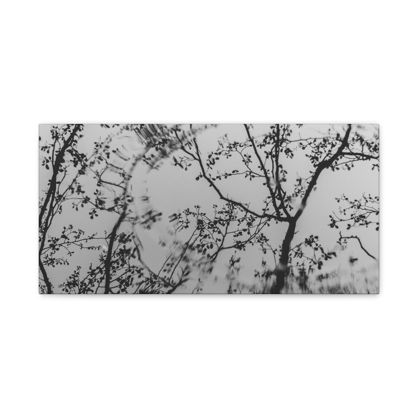 Canvas Wall Art — Monochrome Blurred Ferris Wheel with Tree Silhouettes