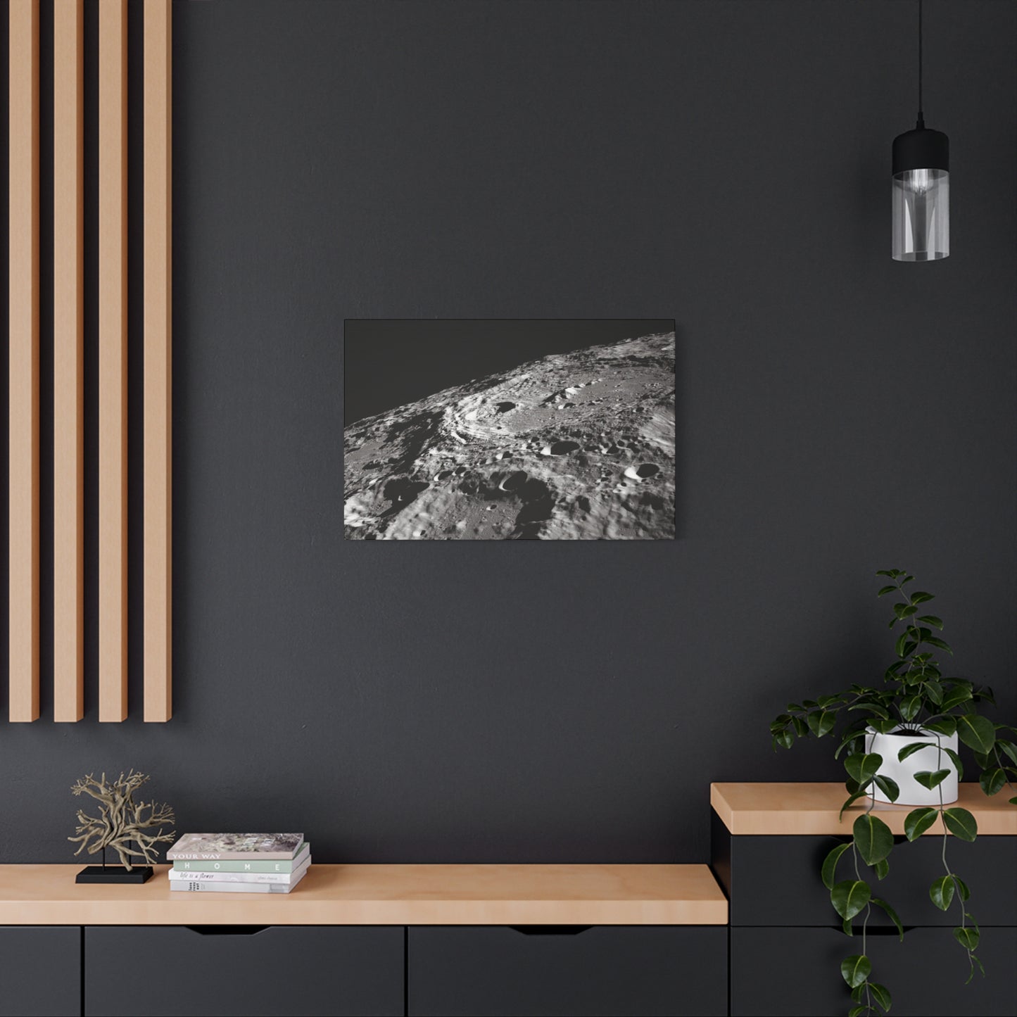 Lunar Surface Matte Canvas Print — Black & White Moon Crater Wall Art