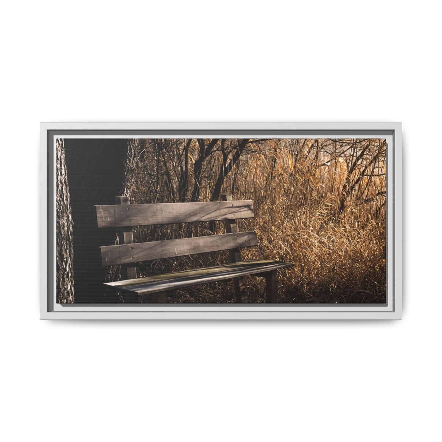 Framed Matte Canvas Print — Autumn Park Bench Photography